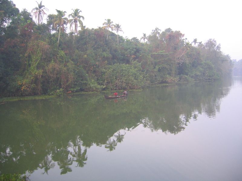 Ein Fluss im fruehen Morgenlicht